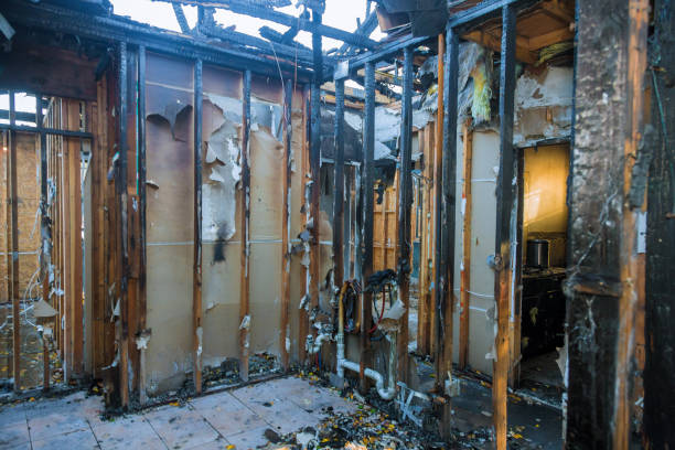 Professional Fire Damage Assessment technician working in Basile, LA